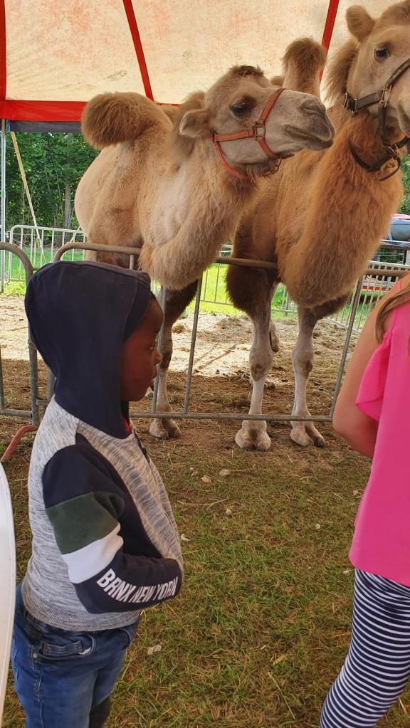 Ils ont été particulièrement impressionés par les chameaux