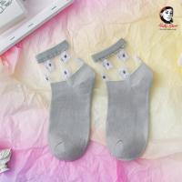 Drolede chaussette nelle stern 117 