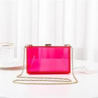 Nelle stern sac acryl clutch 8 